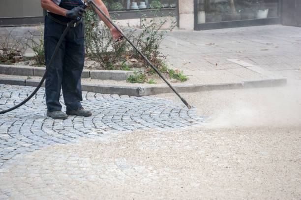 Best Fence Cleaning  in Farmer City, IL