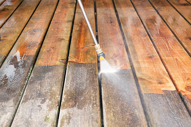 Solar Panel Cleaning in Farmer City, IL