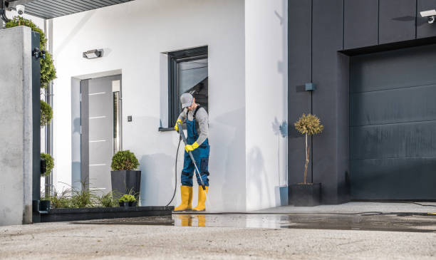 Best Patio and Deck Pressure Washing  in Farmer City, IL
